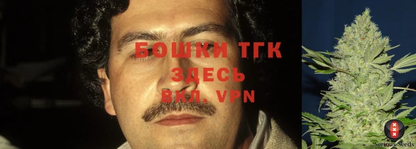 хмурый Верхний Тагил