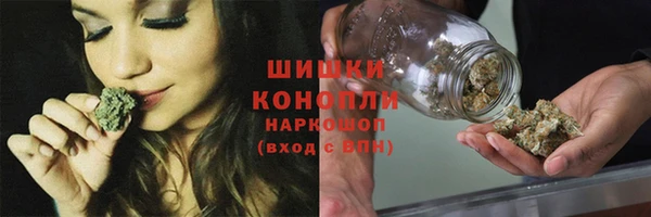 apvp Аркадак
