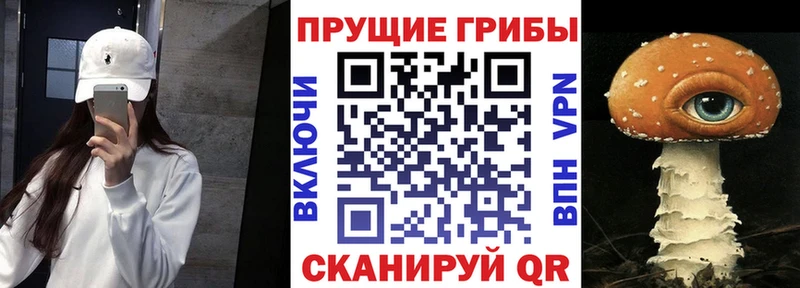 купить наркоту  МЕГА зеркало  Галлюциногенные грибы прущие грибы  Оленегорск 